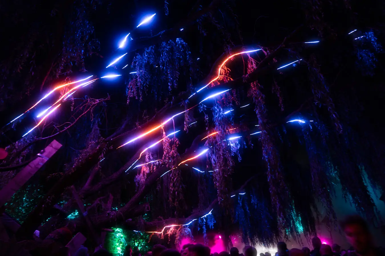 Festival photo at night