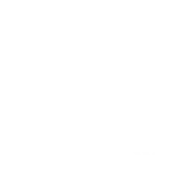 smart music agency logo